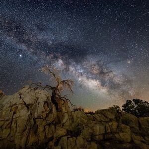 Oh, And The Stars!